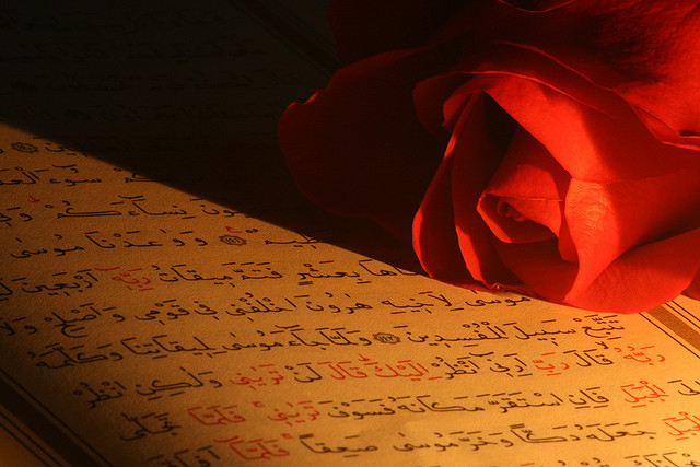 featured_image