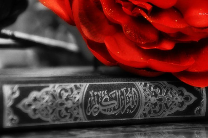 featured_image