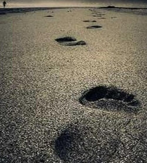 featured_image