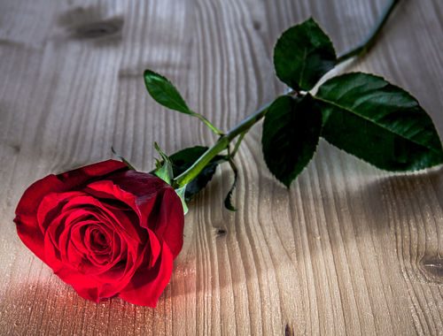 featured_image