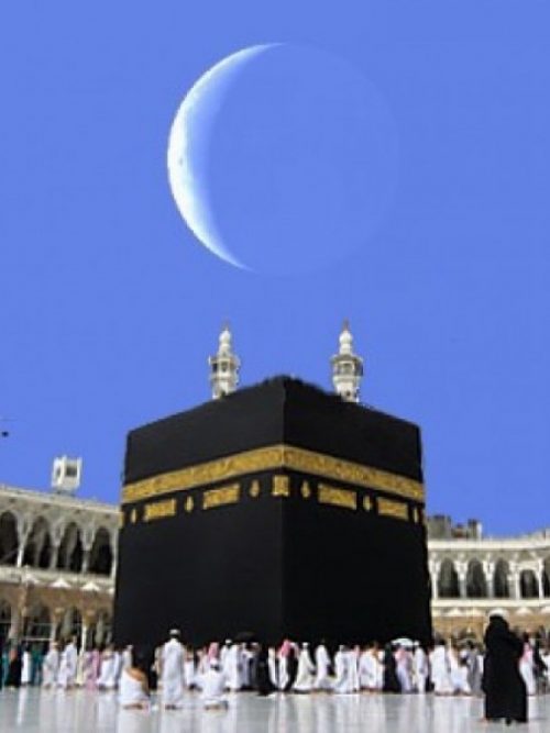 featured_image