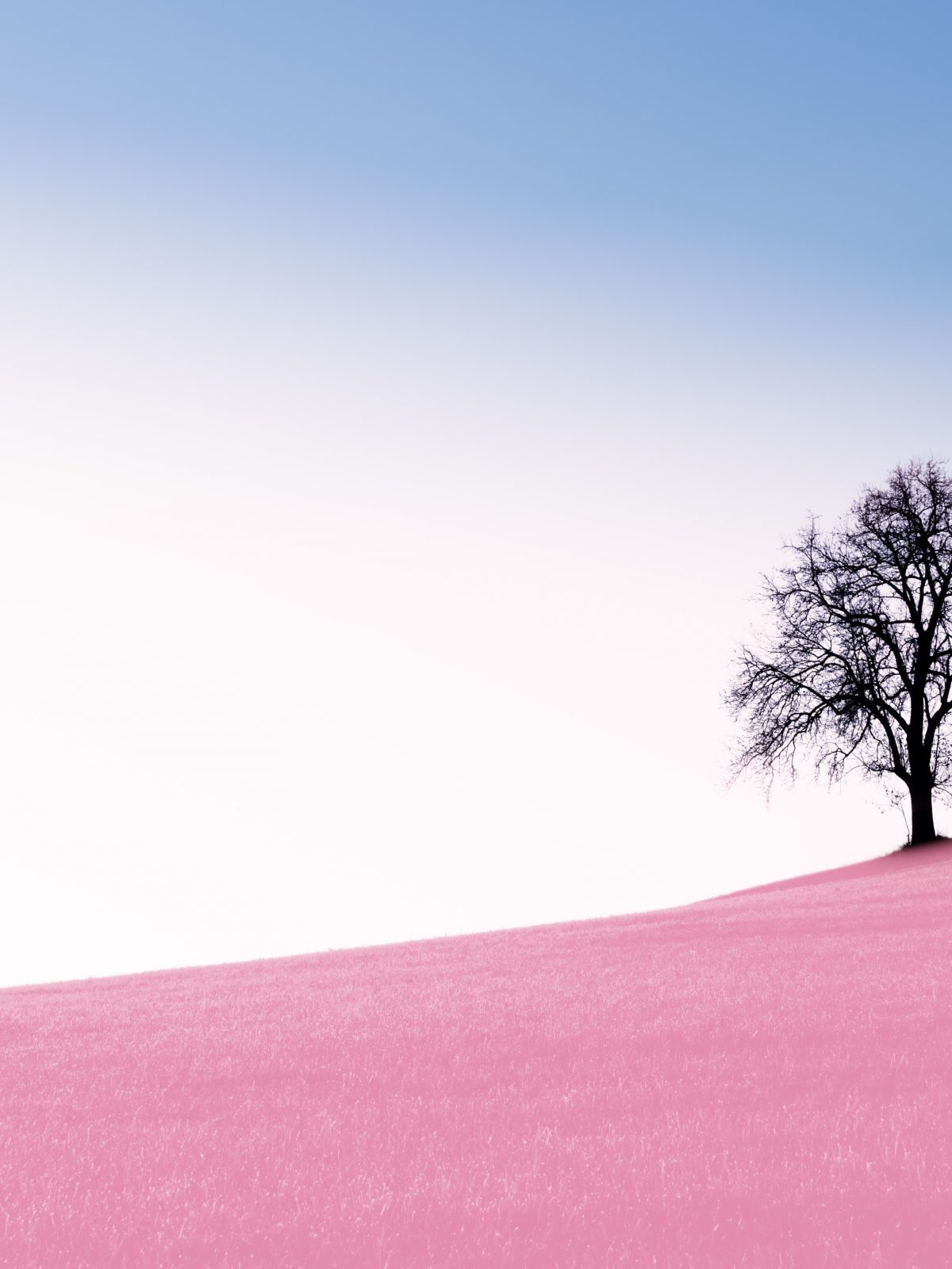 featured_image