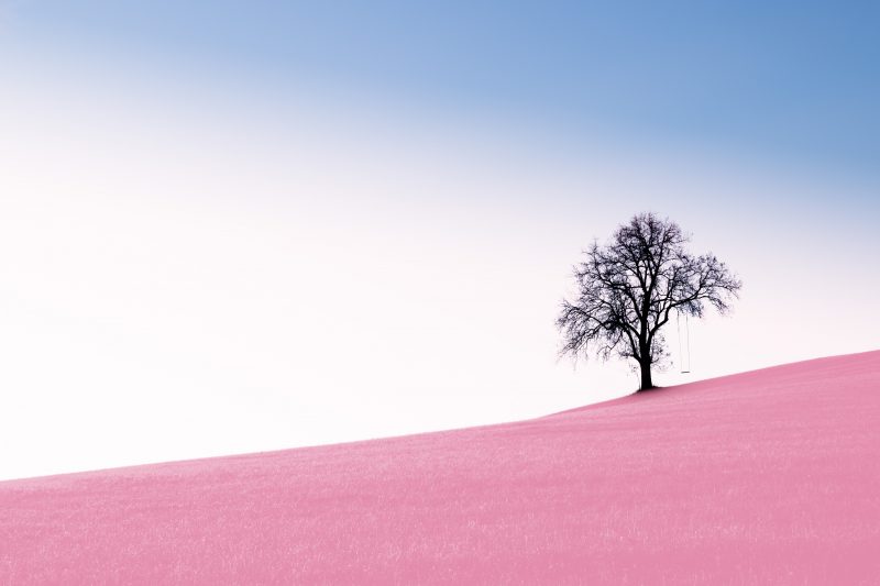 featured_image