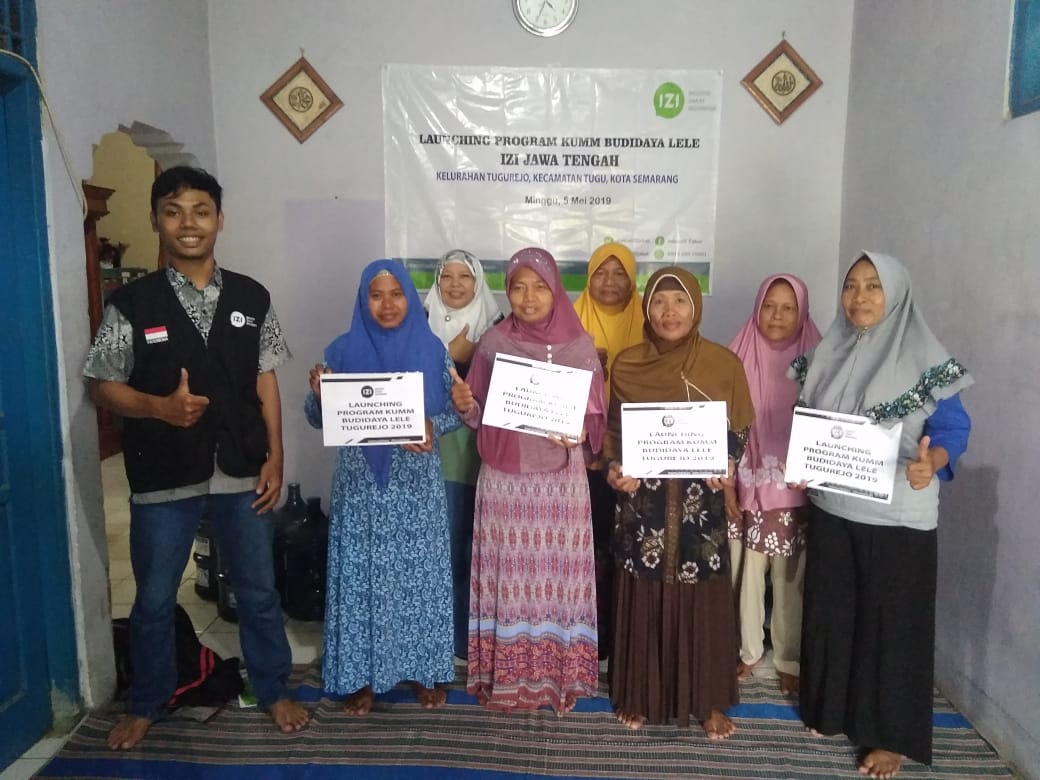 Budidaya Ikan Lele IZI