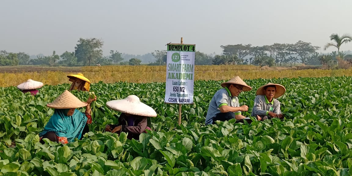 Agropreneur IZI