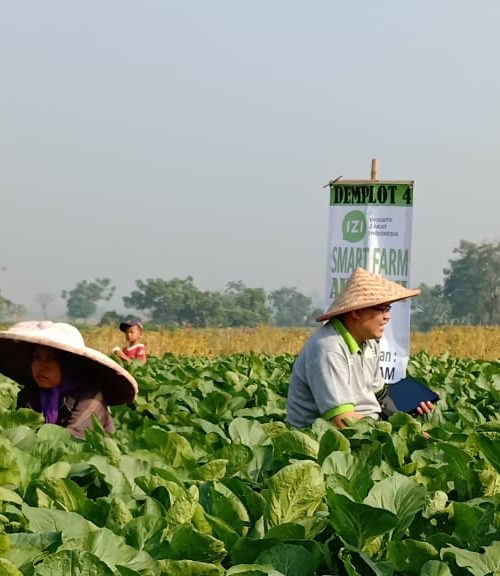 Smart Farm Akademizi