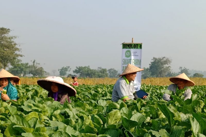 Smart Farm Akademizi