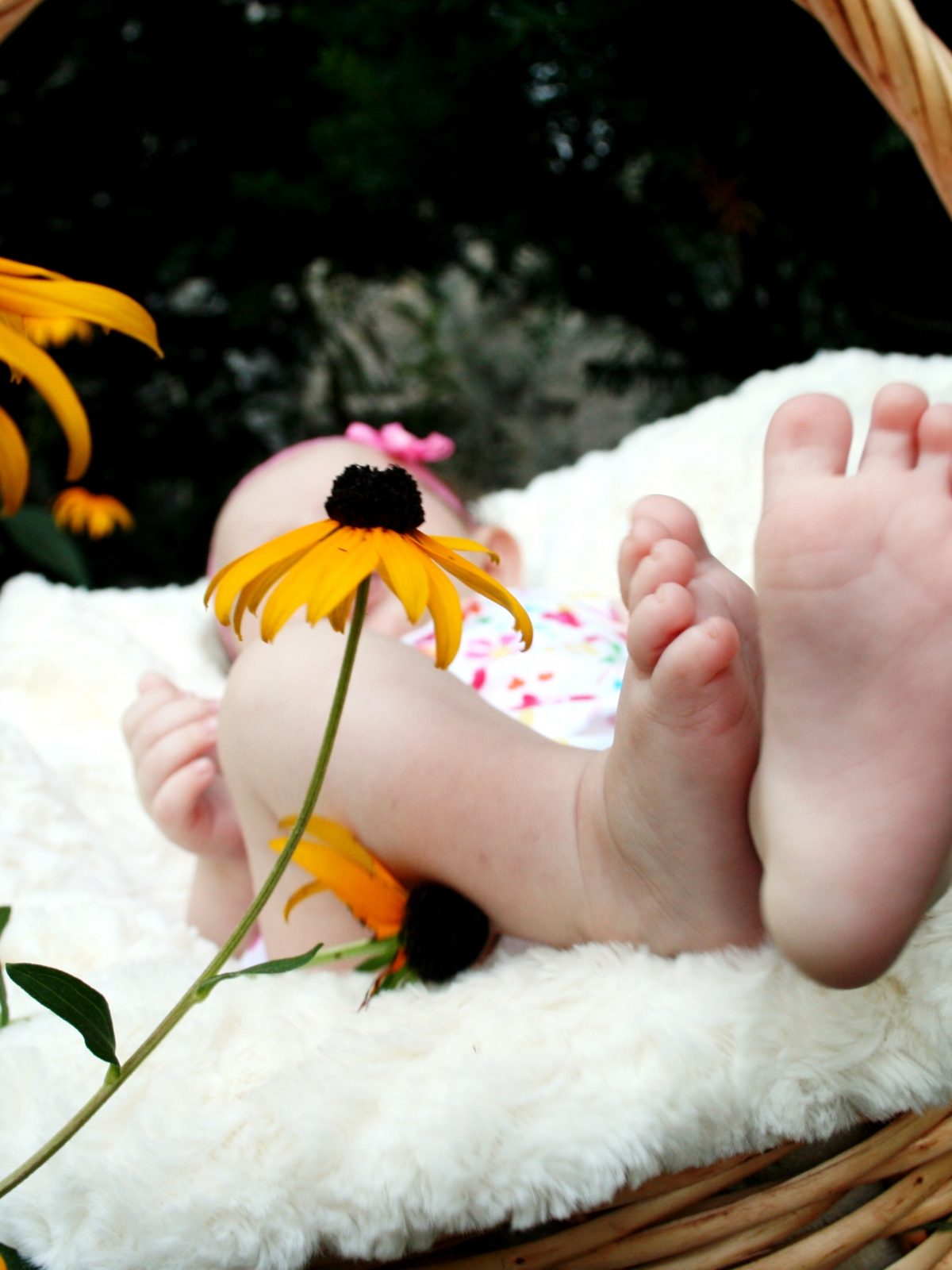 featured_image