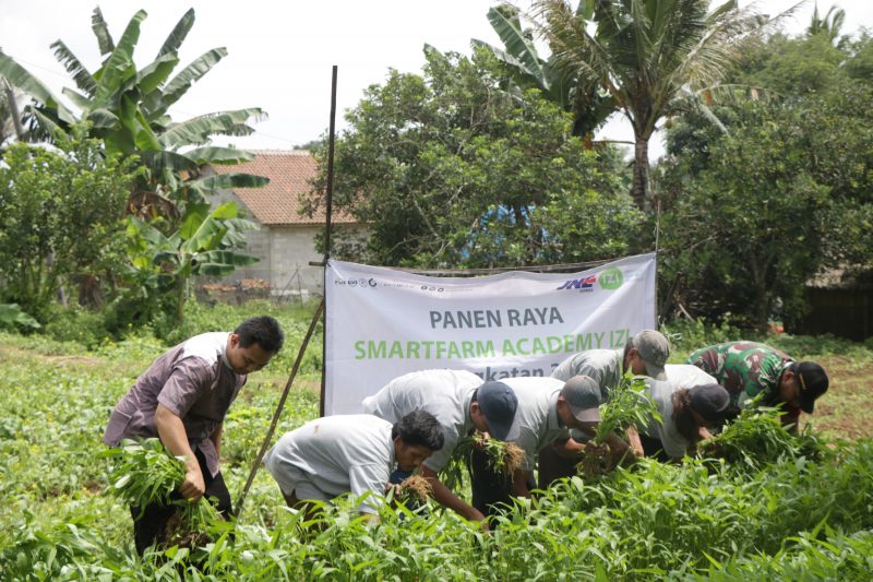 Smartfarm 3_1