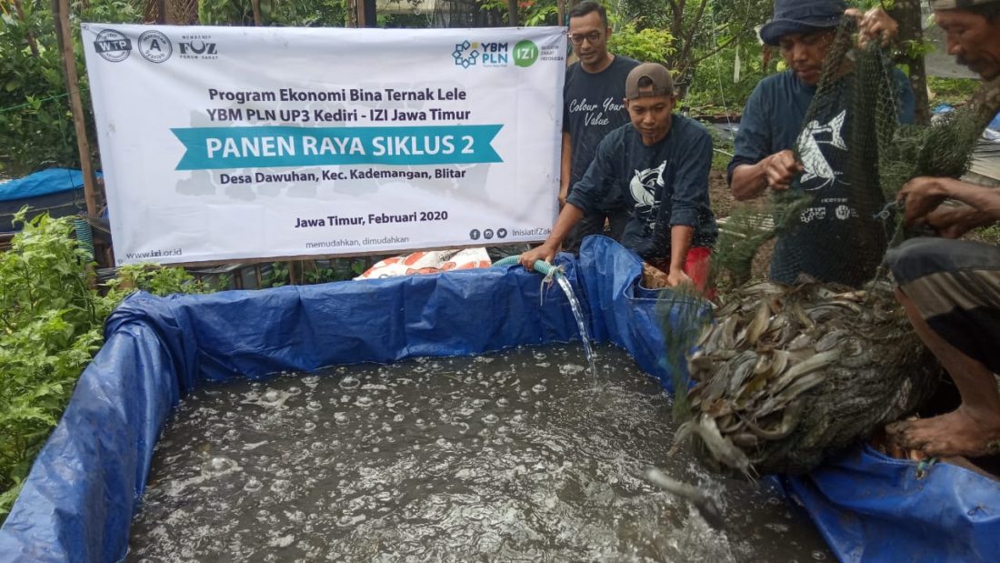 Panen Lele Blitar