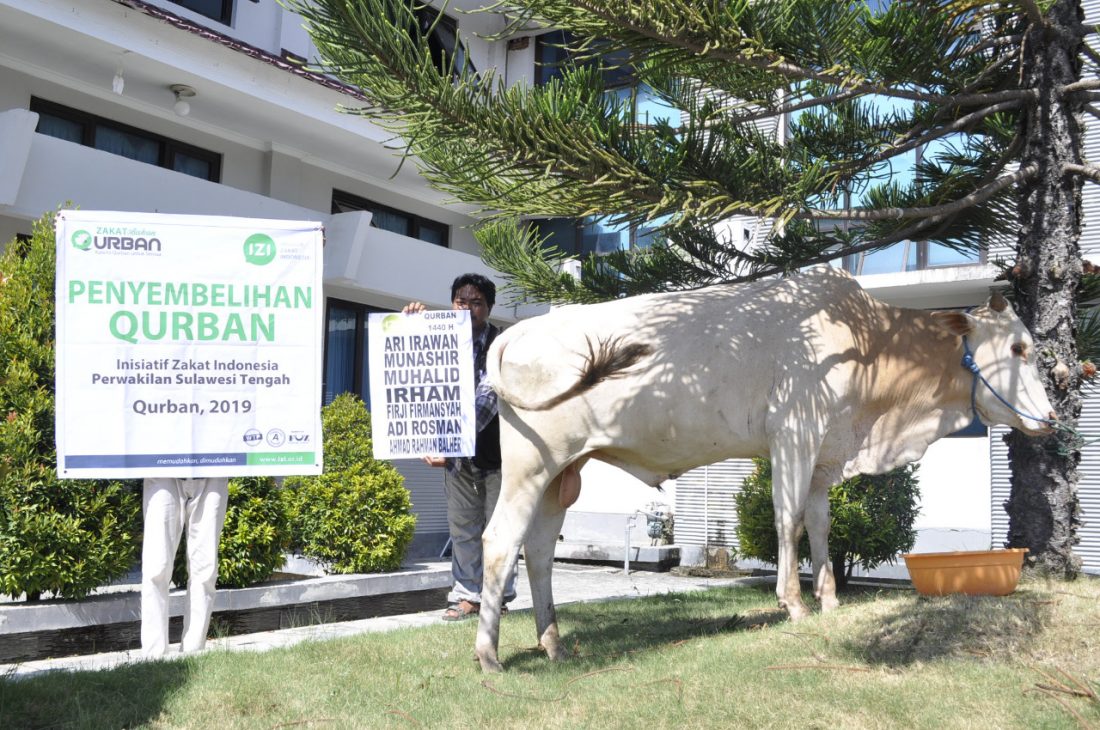 Syariat Qurban