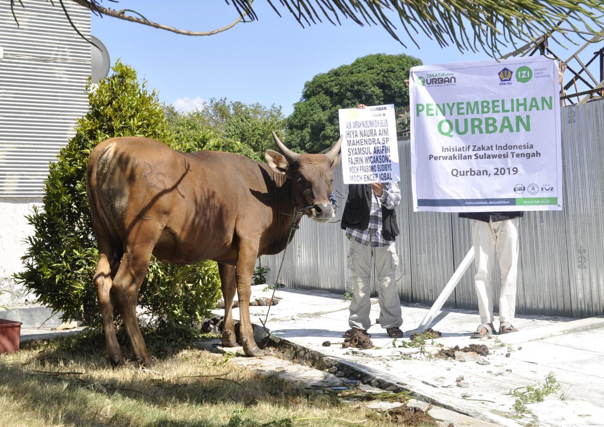 syariat qurban