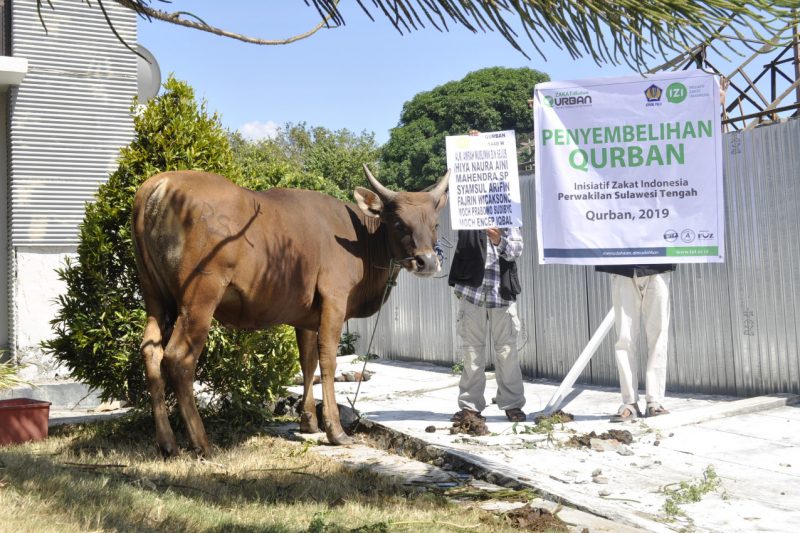 syariat qurban