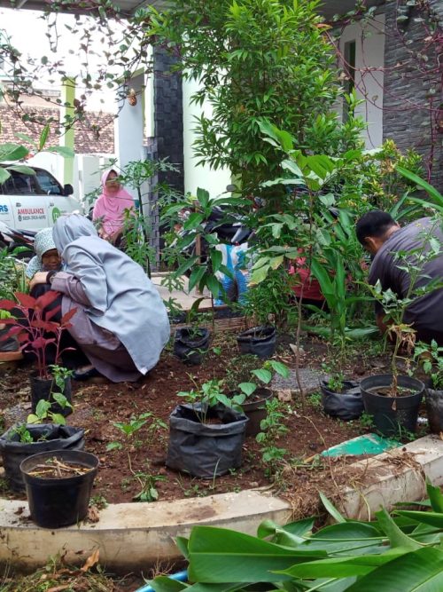 RSP IZI Jateng Berkebun