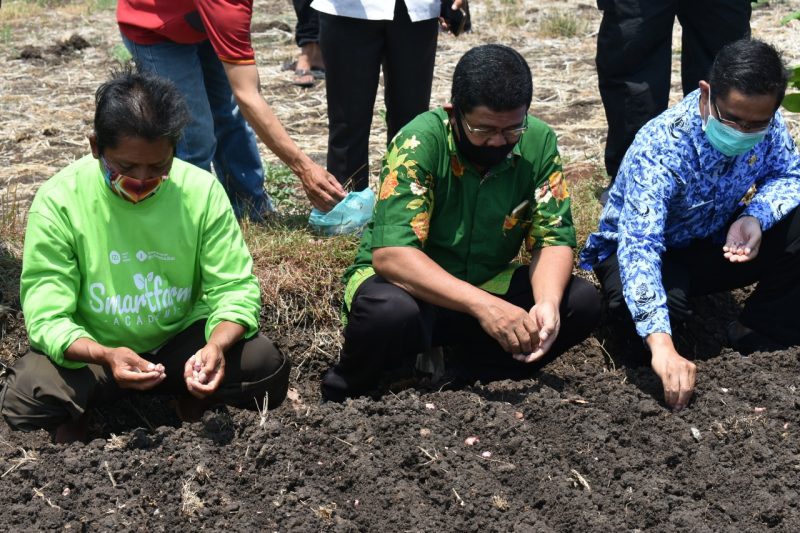 Smartfarm Bumi Khayangan Api