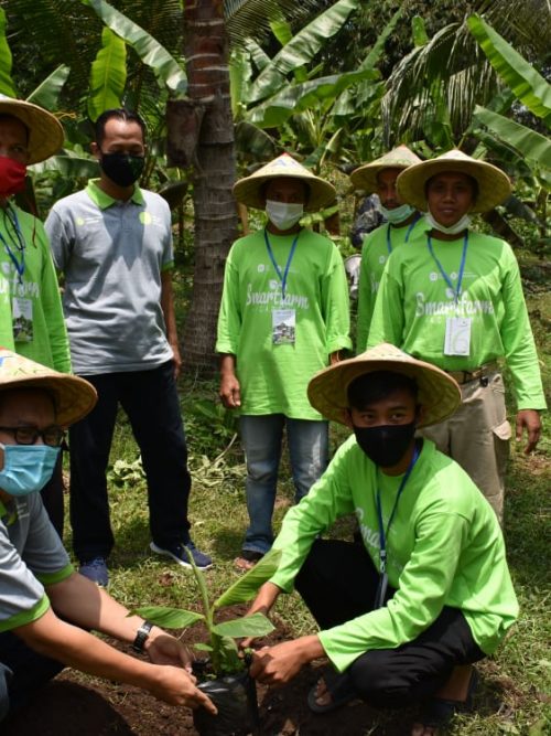 Smartfarm Banjarnegara
