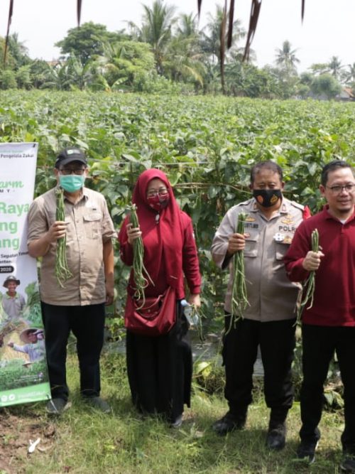 langkah nyata
