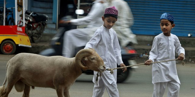 featured_image