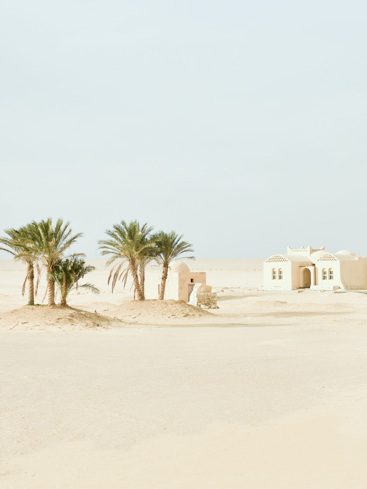 featured_image